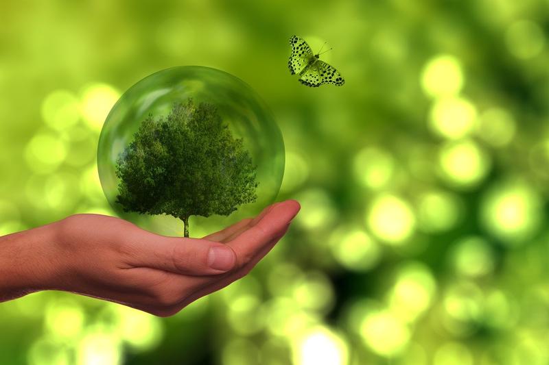 [에너지칼럼] 사용후 핵연료는 원자력 기피 이유가 되지 못한다