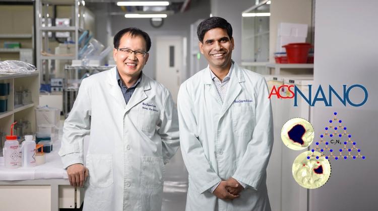 New Stem Cell Technique Shows Promise for Bone Repair